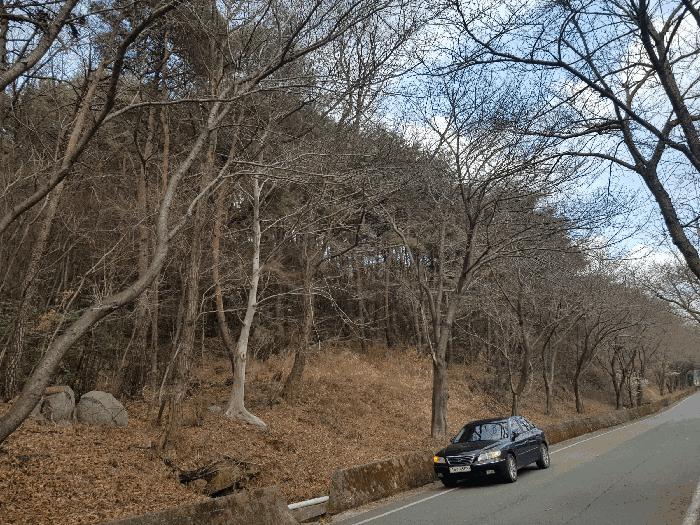 2025타경567 법원경매 사진2 | 경남 남해군 임야 경매