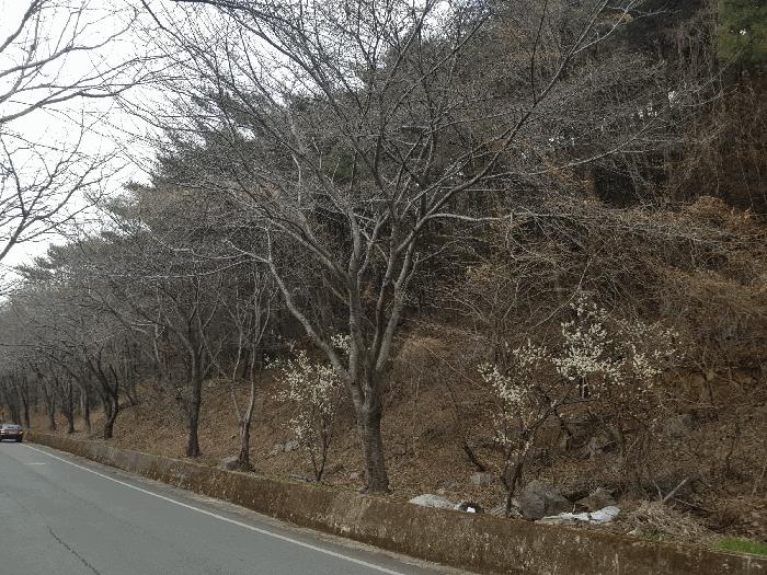2025타경567 법원경매 사진3 | 경남 남해군 임야 경매