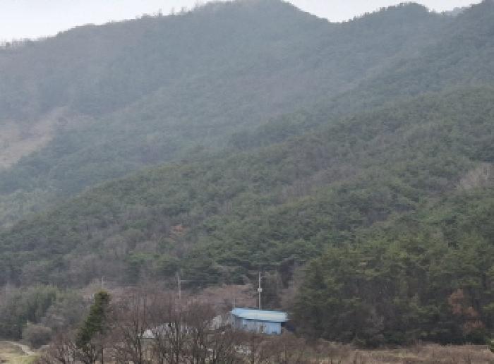 2025타경567 법원경매 사진4 | 경남 남해군 임야 경매