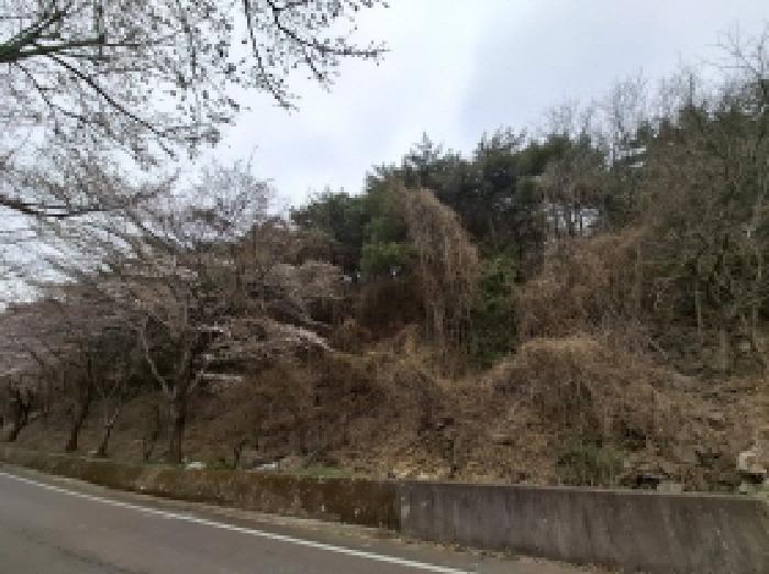2025타경567 법원경매 사진5 | 경남 남해군 임야 경매