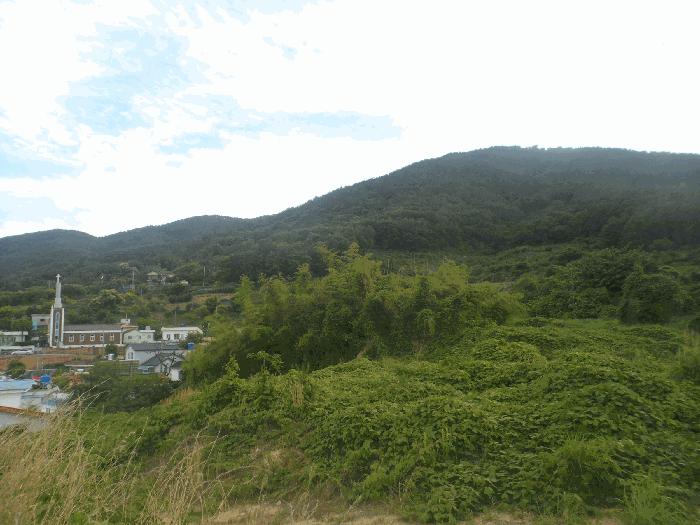 2025타경21483 법원경매 사진2 | 경남 거제시 임야 경매