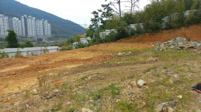 2025타경21492 법원경매 사진18 | 경남 거제시 임야 경매