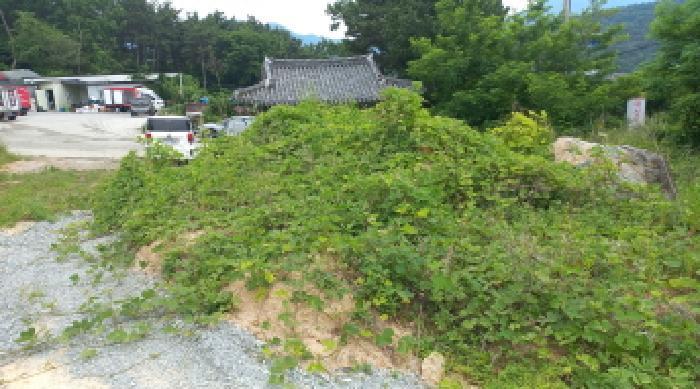 2025타경21492 법원경매 사진23 | 경남 거제시 임야 경매