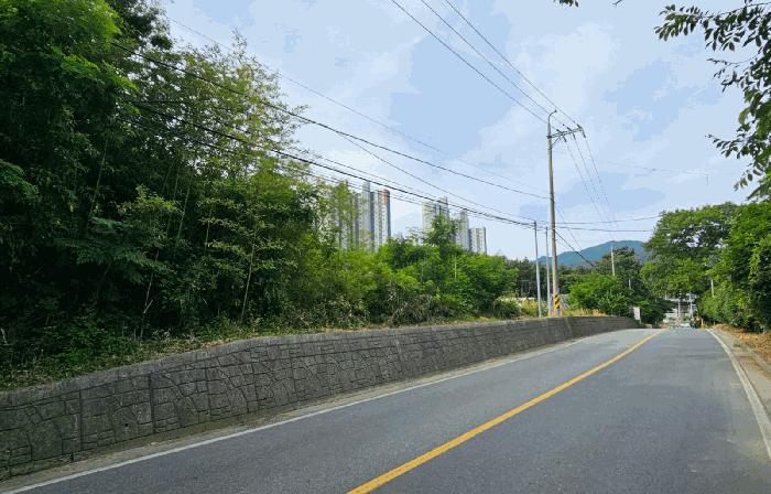 2025타경21492 법원경매 사진3 | 경남 거제시 임야 경매