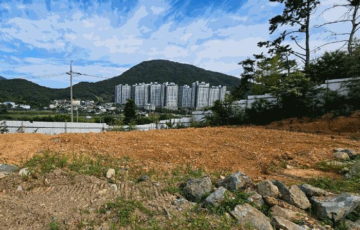 2025타경21492 법원경매 사진6 | 경남 거제시 임야 경매