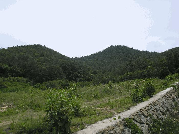 2025타경51568 법원경매 사진4 | 전남 여수시 전 경매