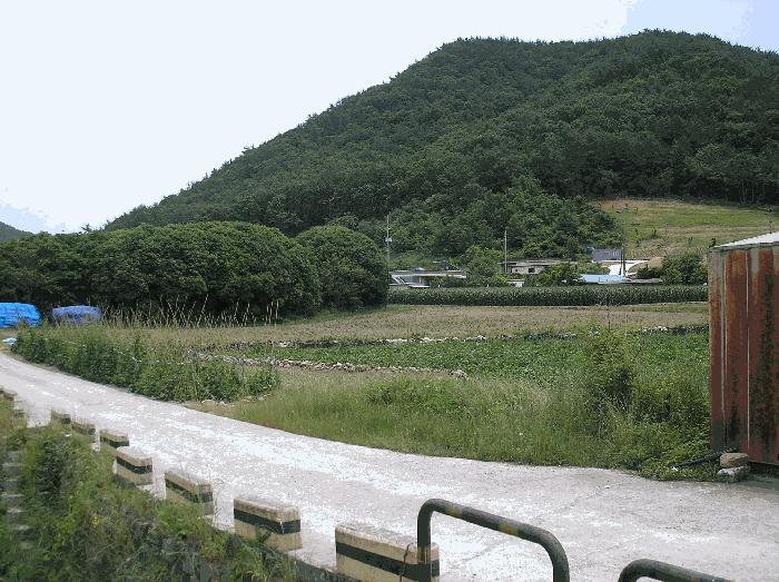 2025타경51568 법원경매 사진5 | 전남 여수시 전 경매