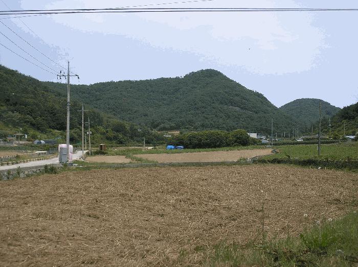 전라남도 여수시 화양면 서촌리 산68-22 법원경매 물건 대표사진