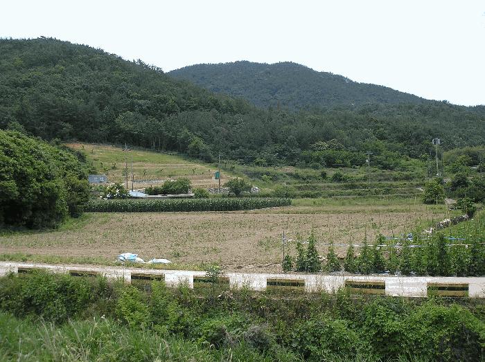 2025타경51568 법원경매 사진6 | 전남 여수시 임야 경매