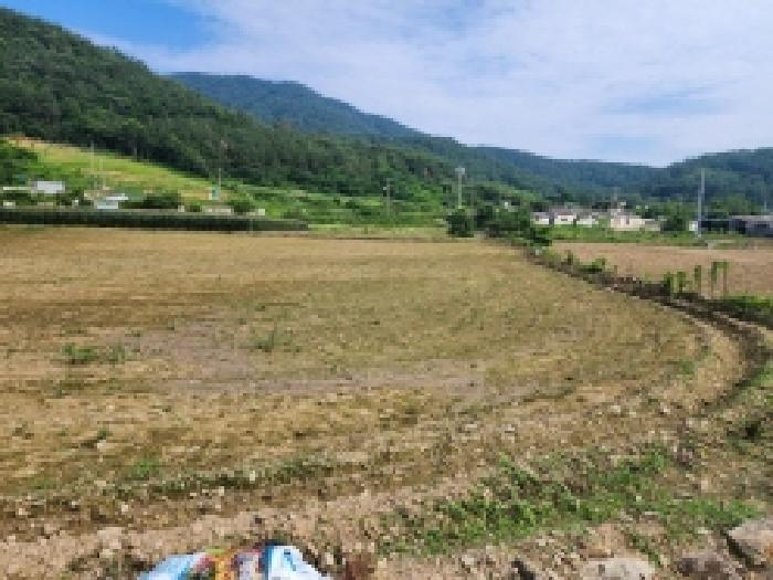 2025타경51568 법원경매 사진8 | 전남 여수시 임야 경매