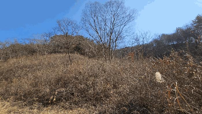 2025타경30667 법원경매 사진2 | 경남 진주시 임야 경매