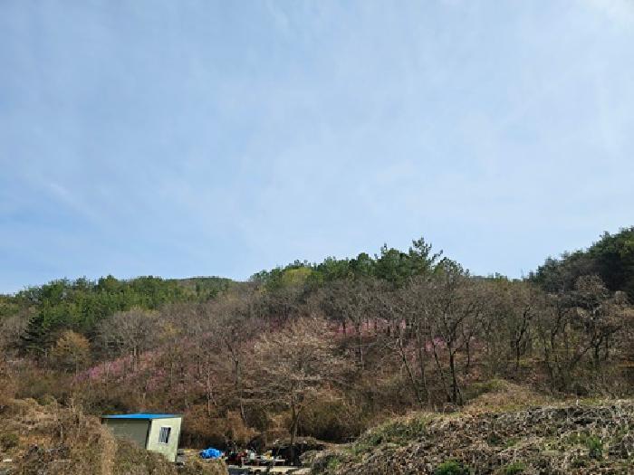 2025타경30667 법원경매 사진3 | 경남 진주시 임야 경매