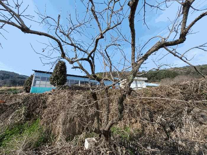 2025타경30687 법원경매 사진9 | 경남 남해군 대지,임야,전답 경매