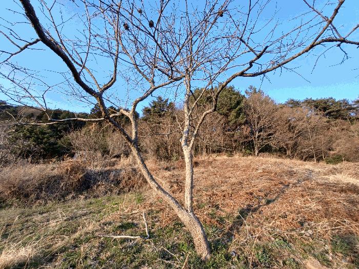 2025타경30687 법원경매 사진3 | 경남 남해군 주택건물 경매