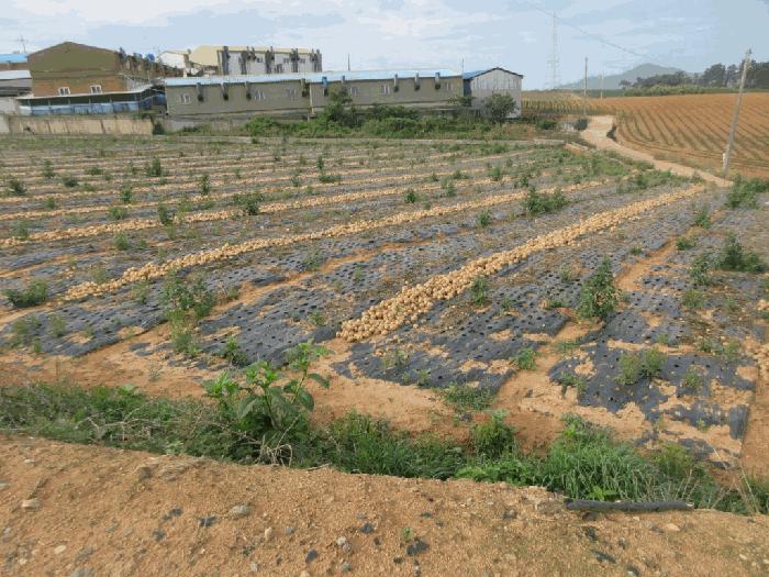 전라남도 무안군 운남면 내리 1068-23 법원경매 물건 대표사진