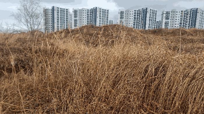 2025타경3606 법원경매 사진2 | 포항 남구 답 경매