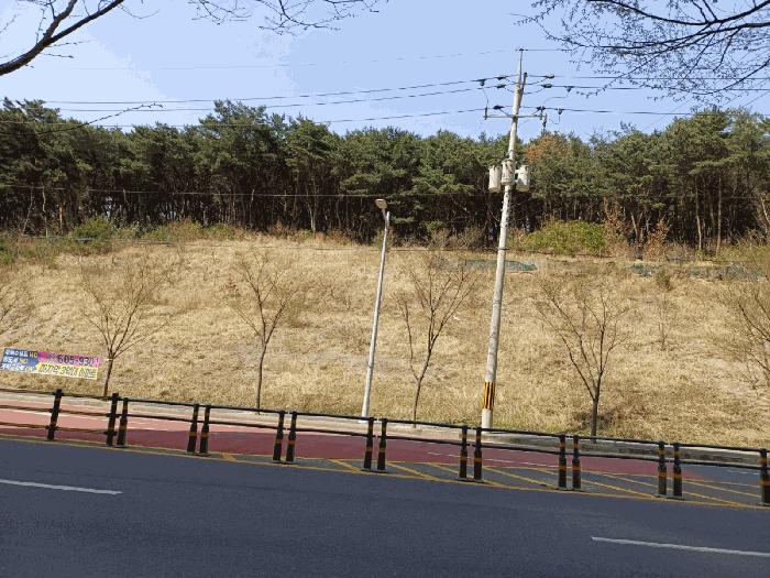 경상북도 포항시 북구 창포동 산28 법원경매 물건 대표사진