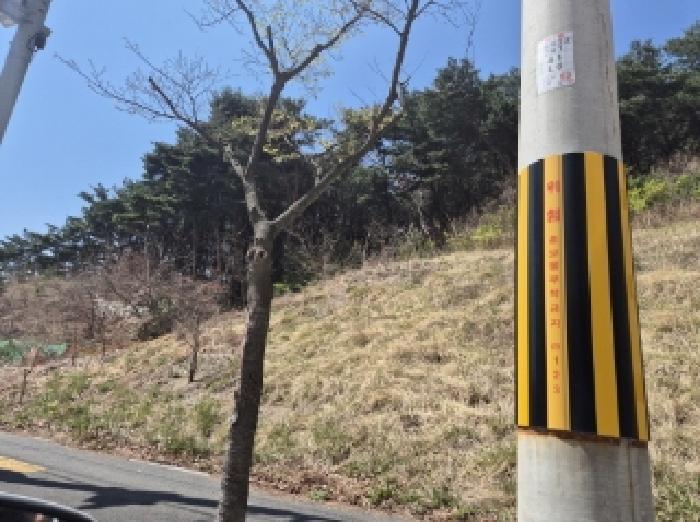 법원경매 2025타경3637 사진10 | 포항시 북구 창포동 임야 경매