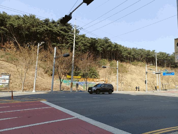법원경매 2025타경3637 사진4 | 포항시 북구 창포동 임야 경매