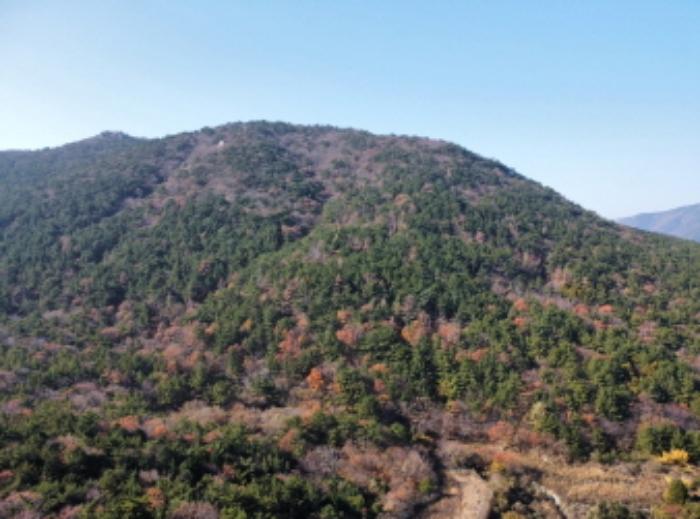 2024타경29385 법원경매 사진48 | 경남 거제시 임야 경매