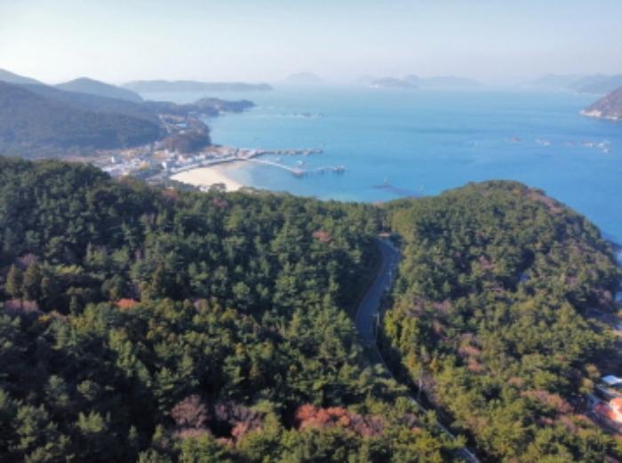 2024타경29385 법원경매 사진71 | 경남 거제시 임야 경매