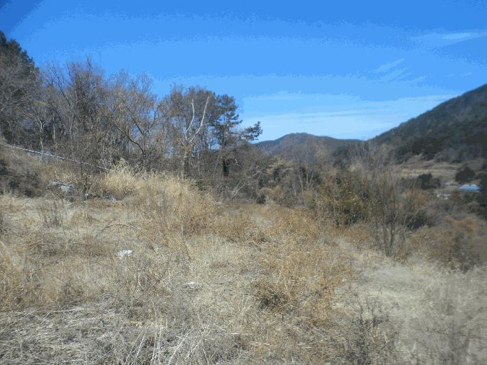 경상남도 통영시 평림동 411-2 법원경매 물건 대표사진