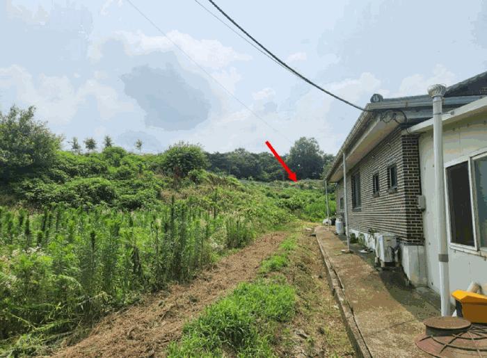 충청남도 홍성군 은하면 장척리 231 법원경매 물건 대표사진