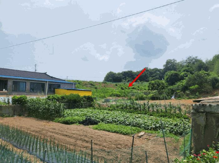 2025타경15803 법원경매 사진4 | 충남 홍성군 답 경매