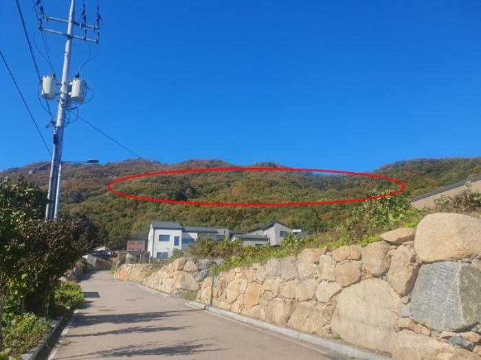 2024타경4451 법원경매 사진2 | 충남 아산시 임야 경매
