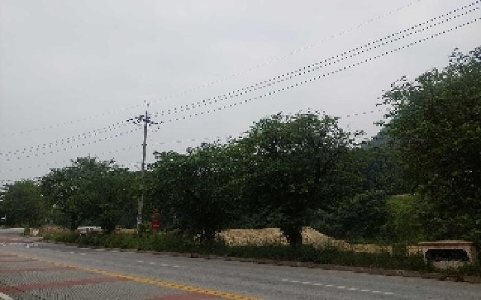 2025타경11685 법원경매 사진29 | 충남 아산시 대지,임야,전답 경매