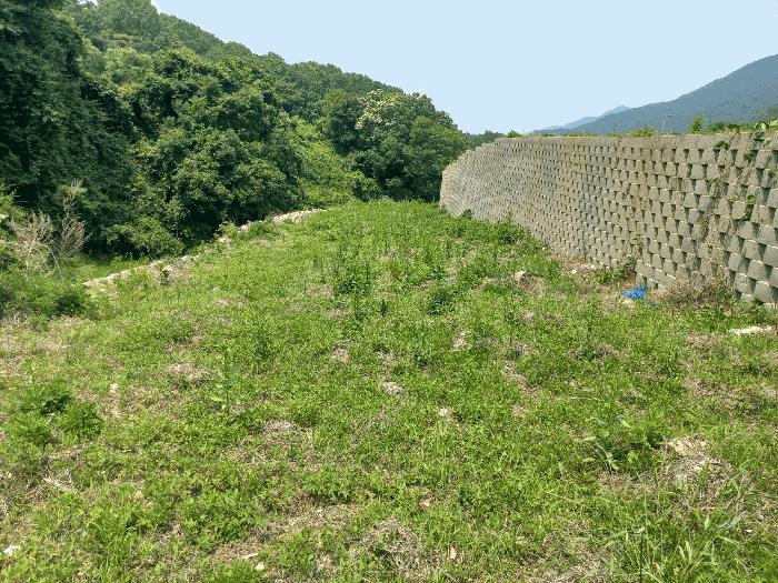 2025타경11685 법원경매 사진6 | 충남 아산시 대지,임야,전답 경매