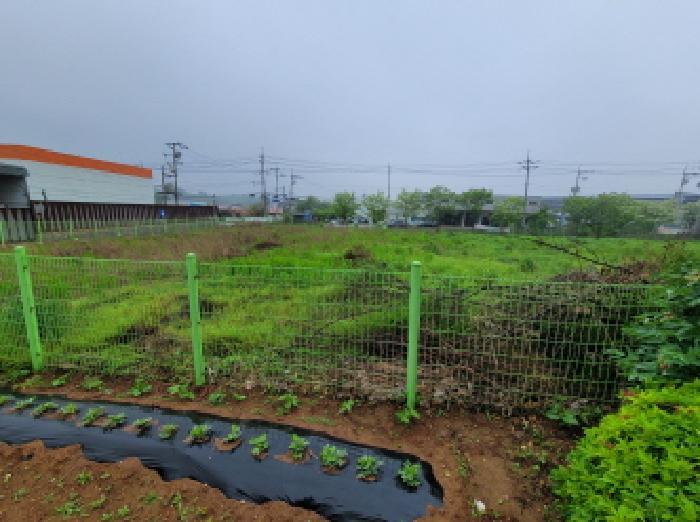 법원경매 2025타경33277 사진9 | 김포시 대곶면 대벽리 82-1 전 경매
