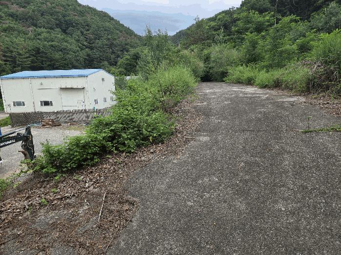 경상북도 경주시 천북면 신당리 산99-1 법원경매 물건 대표사진