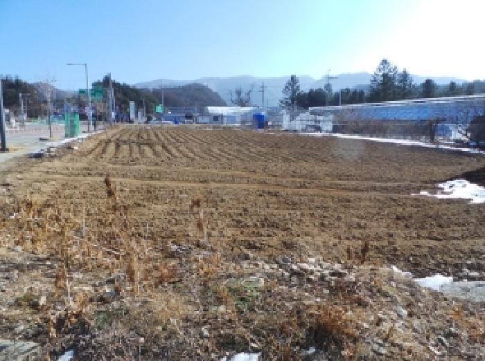 법원경매 2025타경80 사진4 | 평창군 진부면 송정리 1310-1 전 경매