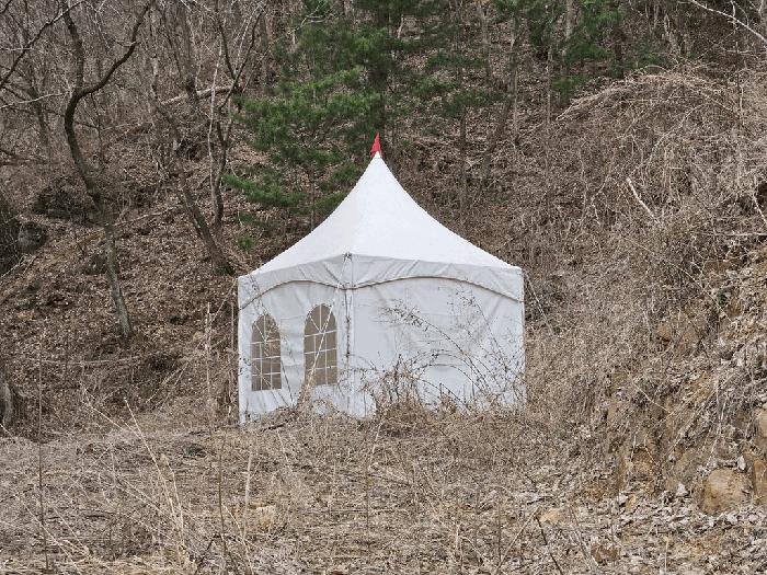 강원특별자치도 정선군 화암면 화암리 산311 법원경매 물건 대표사진
