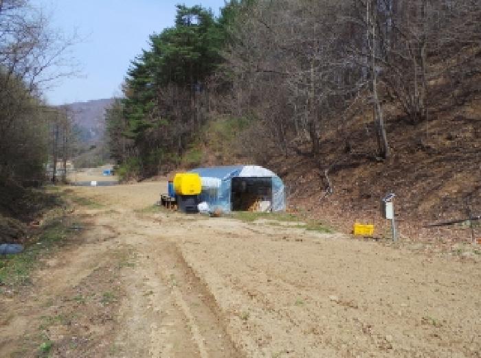 법원경매 2025타경561 사진6 | 평창군 진부면 송정리 1595 전 경매