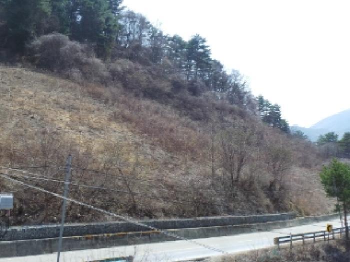 2025타경592 법원경매 사진3 | 강원 정선군 전 경매