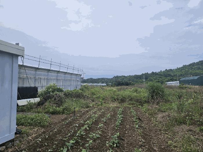 2025타경1196 법원경매 사진2 | 제주 서귀포시 답 경매