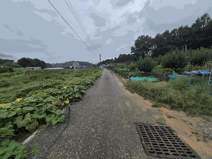 2025타경3829 법원경매 사진4 | 세종 연서면 전 경매