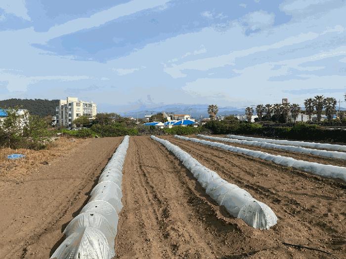 2025타경7897 법원경매 사진3 | 제주 제주시 전 경매