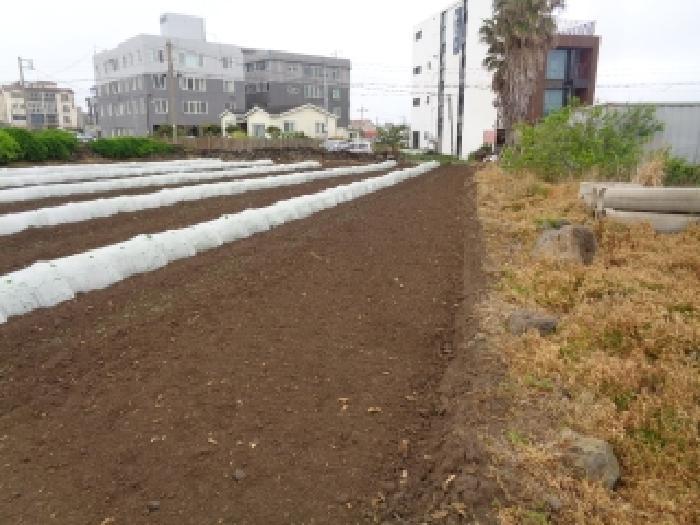 2025타경7897 법원경매 사진5 | 제주 제주시 전 경매