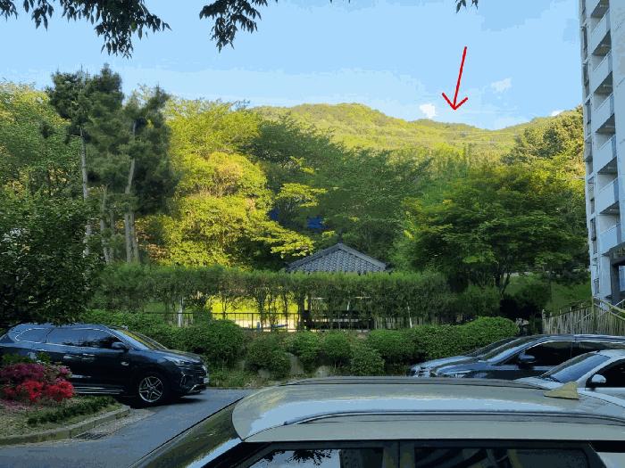 법원경매 2025타경101327 사진2 | 부산 북구 금곡동 임야 경매
