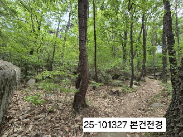 법원경매 2025타경101327 사진3 | 부산 북구 금곡동 임야 경매