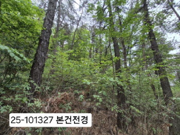 법원경매 2025타경101327 사진4 | 부산 북구 금곡동 임야 경매