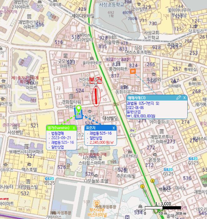 법원경매 2025타경101427 사진8 | 부산 사상구 괘법동 524-33 도로 경매