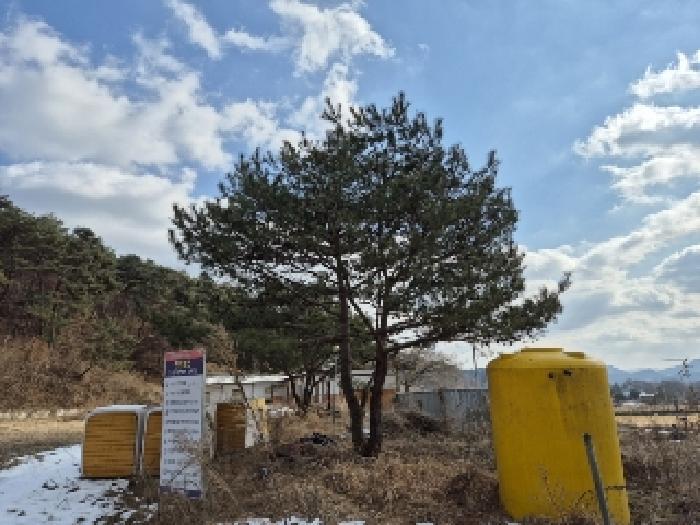 2024타경9608 법원경매 사진3 | 전남 담양군 근린시설 경매