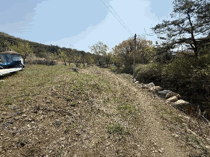 경상남도 양산시 하북면 지산리 81-2 법원경매 물건 대표사진