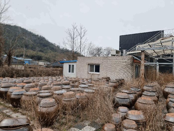 법원경매 2025타경721 사진12 | 나주시 봉황면 운곡리 175 답 경매
