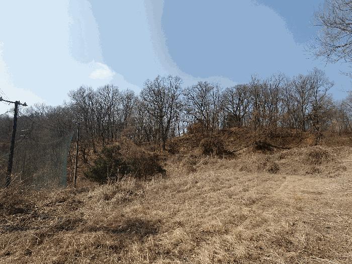 법원경매 2025타경62450 사진3 | 파주시 파주읍 향양리 임야 경매