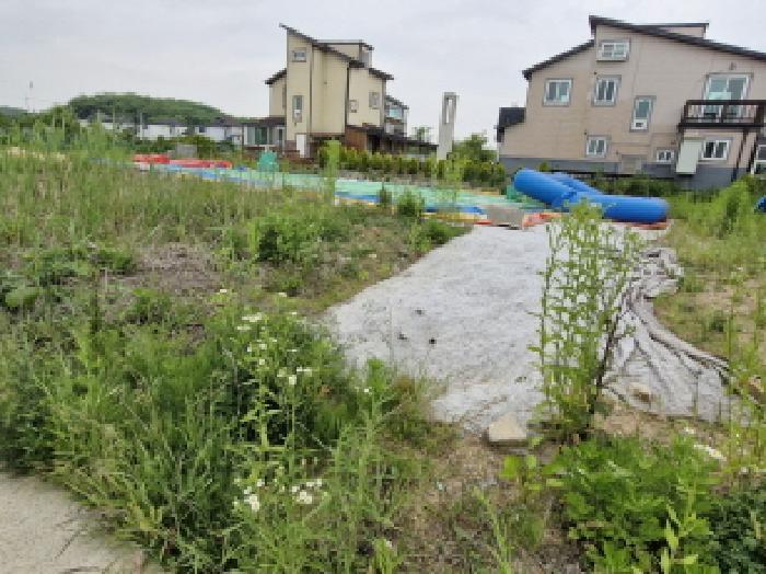 법원경매 2025타경52419 사진7 | 안산시 단원구 대부남동 7-389 기타토지 경매